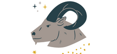 KOZOROH (22.12. - 20.1.)