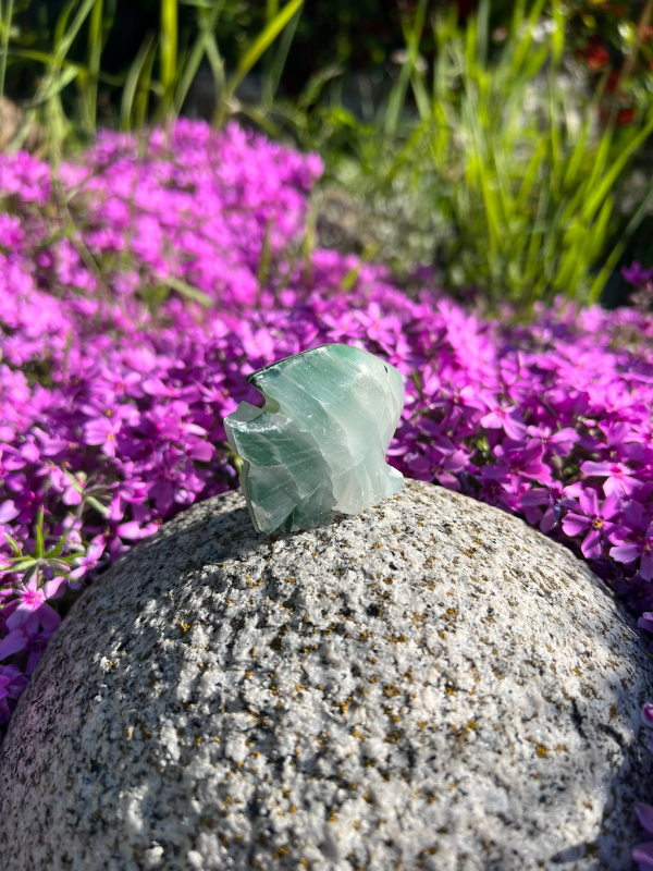 Onyx RYBA Zelená