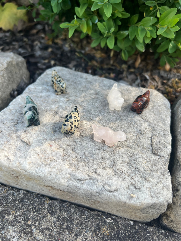 mystery DINOSAURUS mini