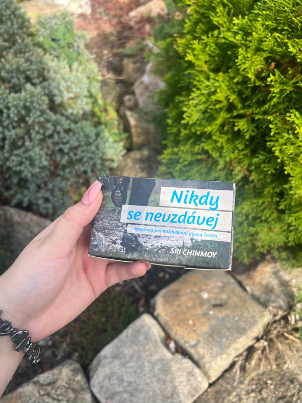 Karty NIKDY SE NEVZDÁVEJ