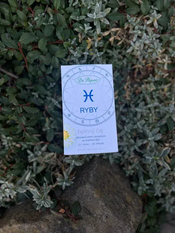 Bylinný čaj RYBY, 30 g