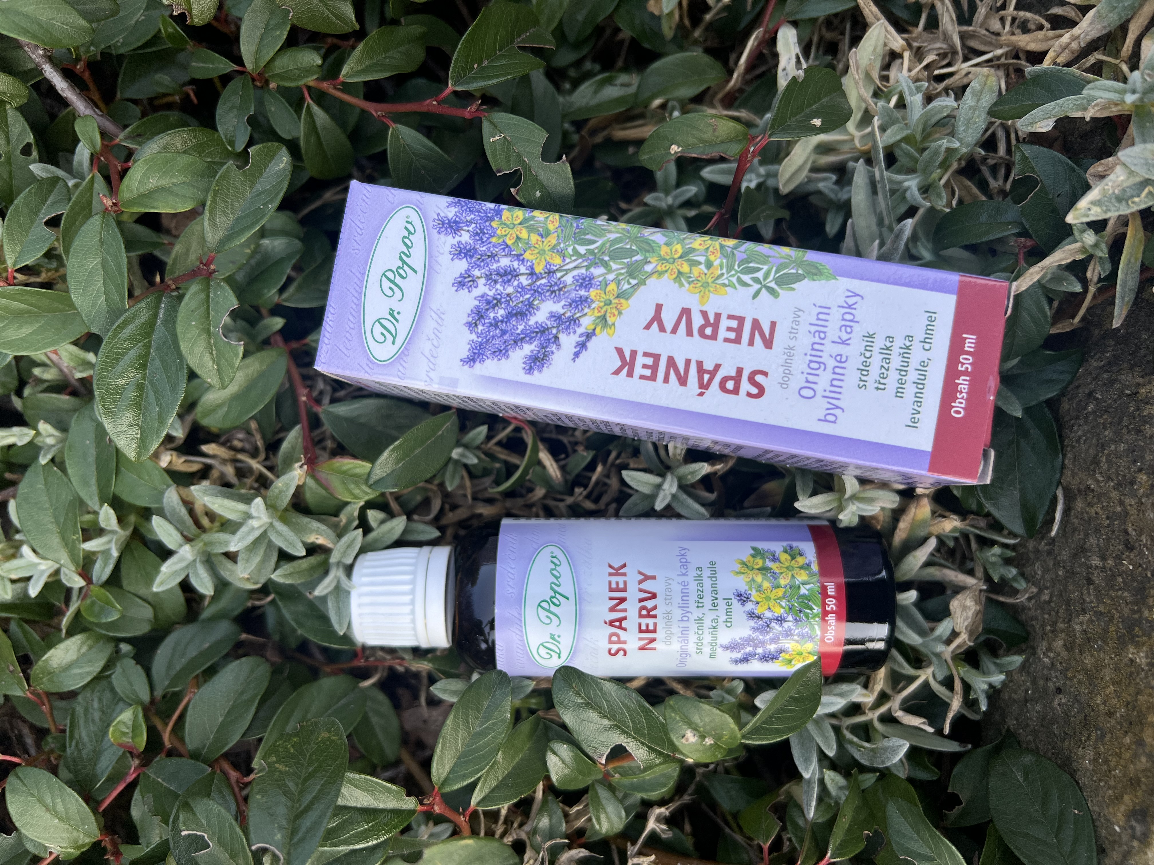 Spánek – nervy, originální bylinné kapky, 50 ml