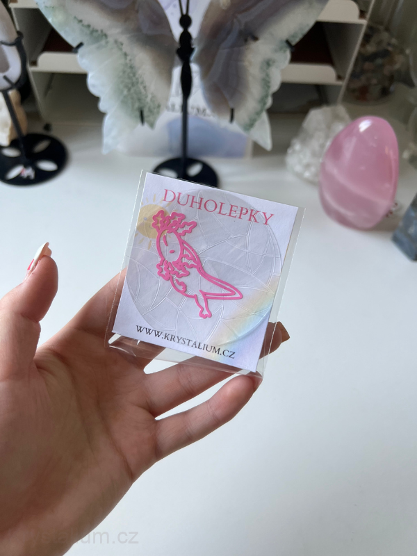 DUHOLEPKA axolotl kolečko