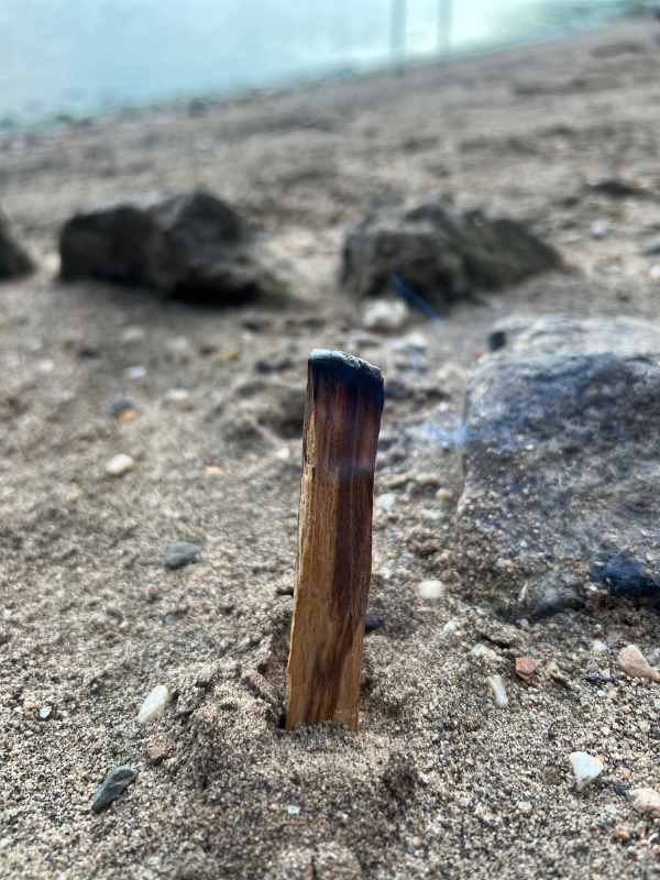 PALO SANTO vykuřovadlo