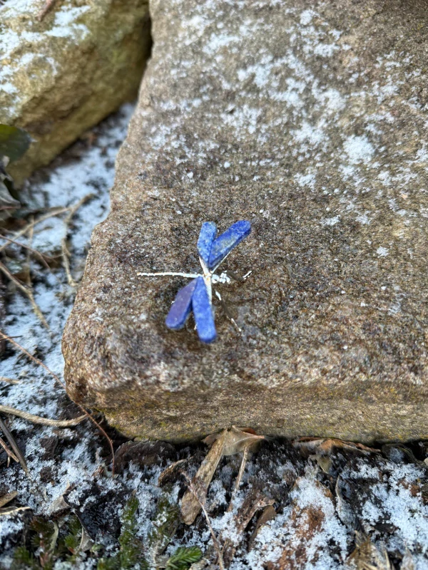 Lapis Lazuli vážka konkrétní kis