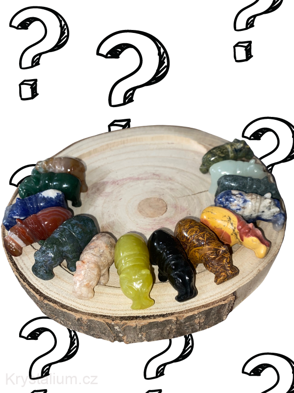 MYSTERY hroch
