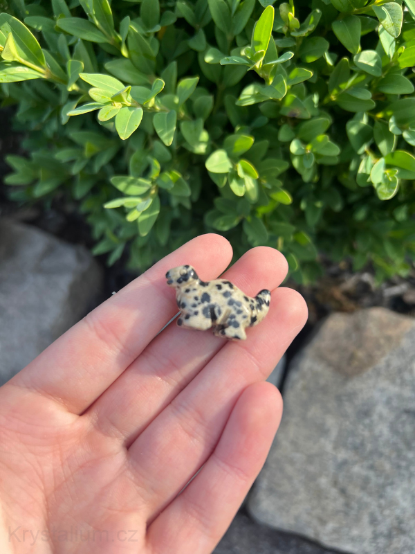 mystery DINOSAURUS mini
