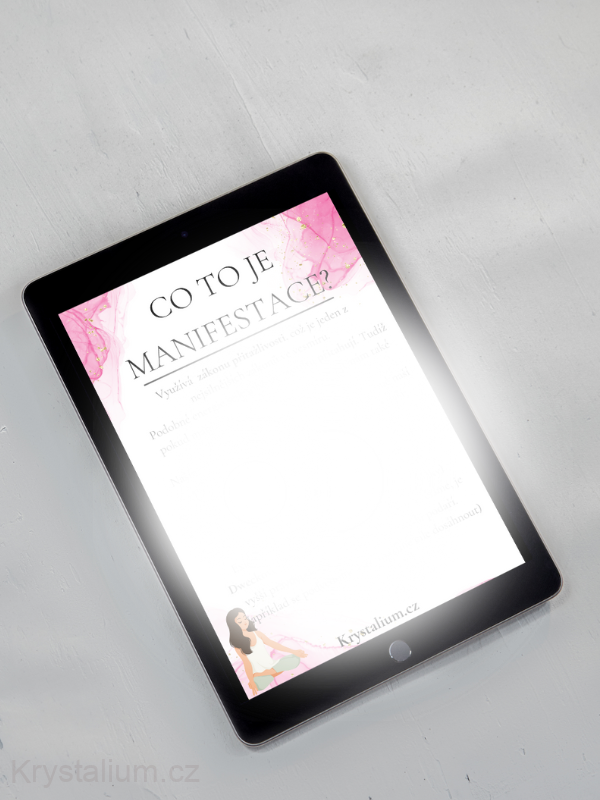 MANIFESTACE e-book