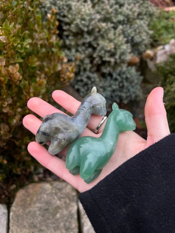 MYSTERY lama
