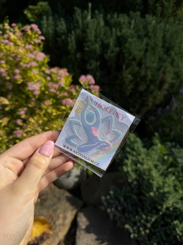 DUHOLEPKA yoga HOLO