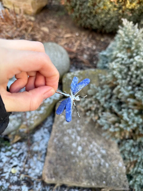 Lapis Lazuli vážka konkrétní kis